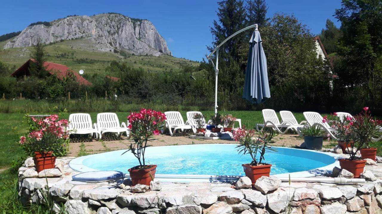 Studiouri Valisoara Extérieur photo