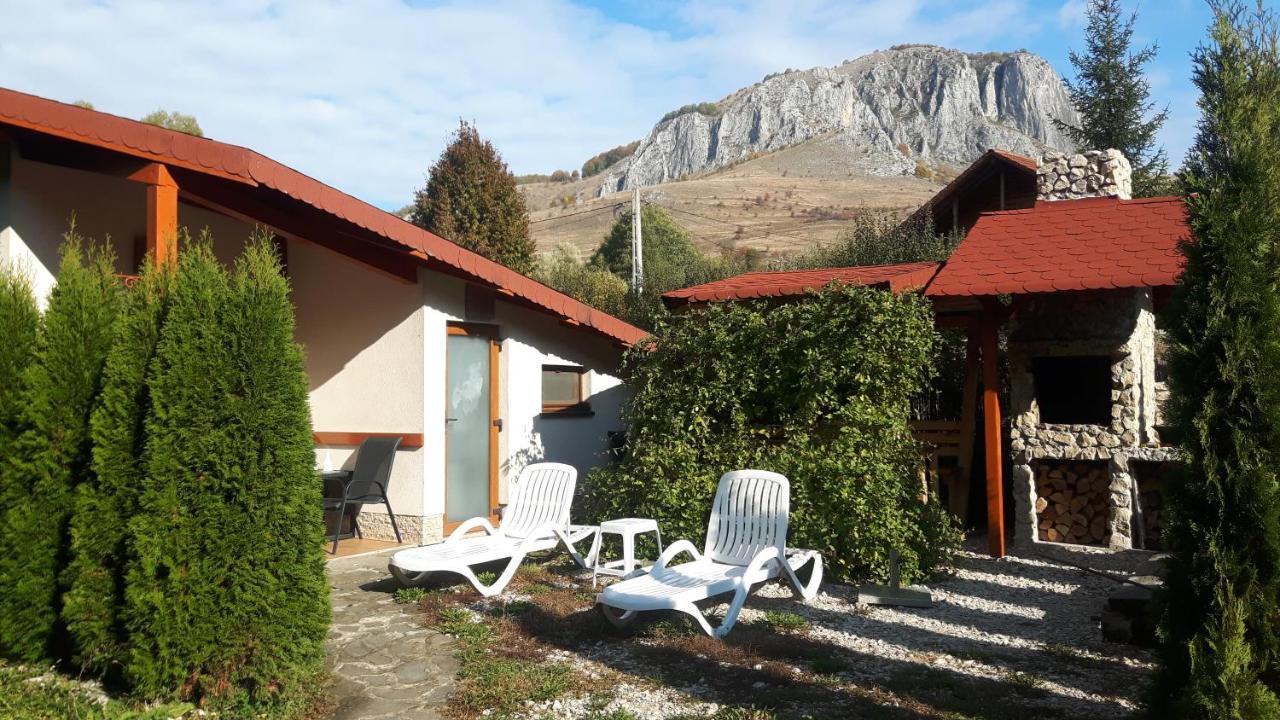 Studiouri Valisoara Extérieur photo