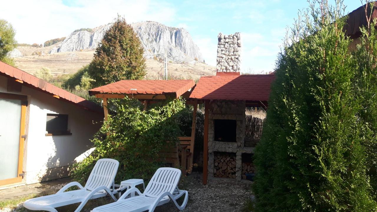 Studiouri Valisoara Extérieur photo