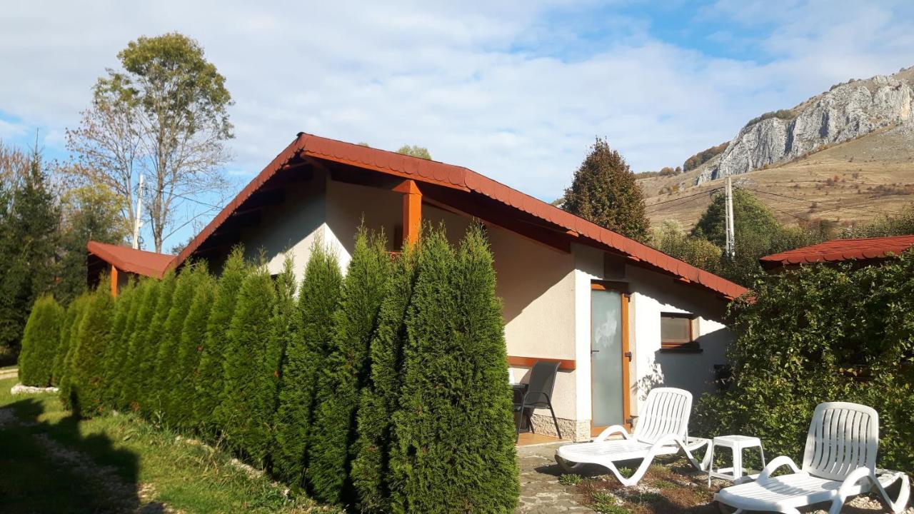 Studiouri Valisoara Extérieur photo