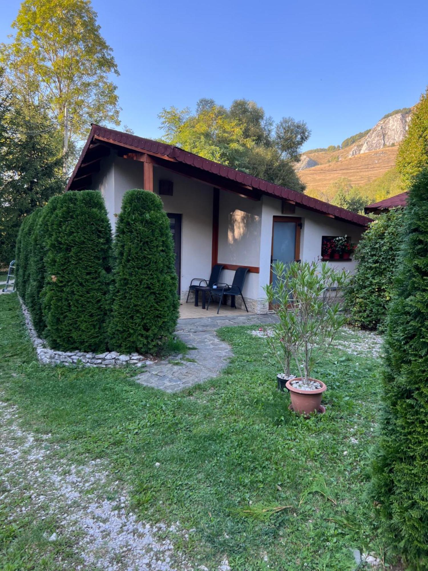 Studiouri Valisoara Extérieur photo