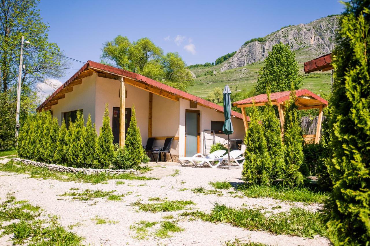 Studiouri Valisoara Extérieur photo