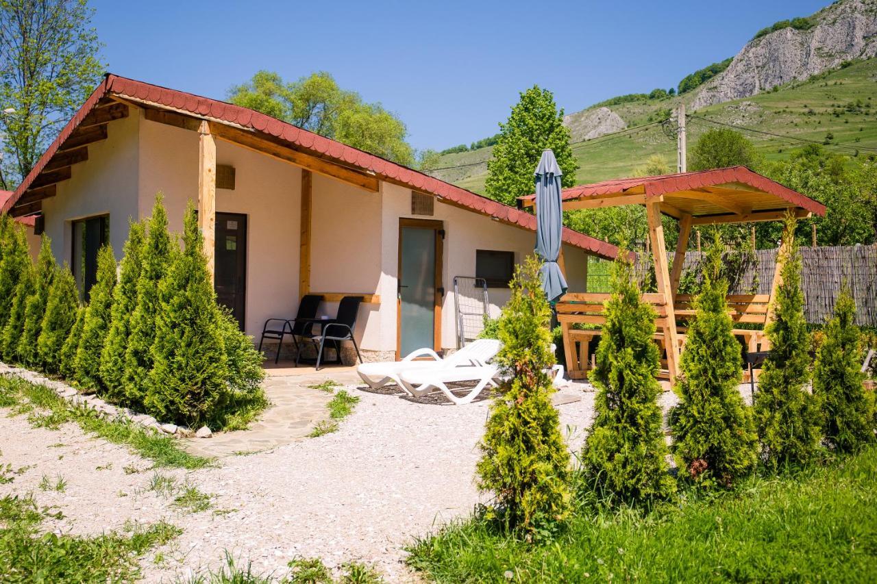 Studiouri Valisoara Extérieur photo