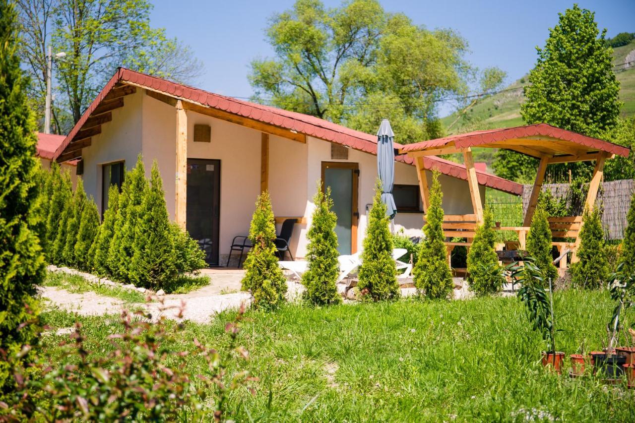 Studiouri Valisoara Extérieur photo