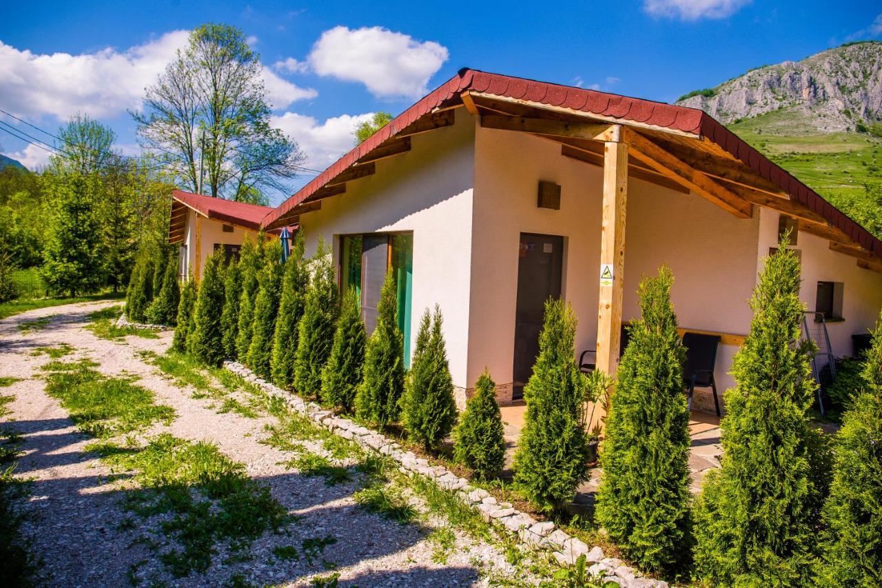 Studiouri Valisoara Extérieur photo